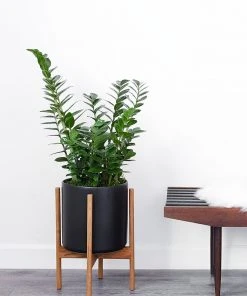 Lulu And Georgia LBE Design Ceramic Planter + Teak Stand 7 Lulu And Georgia LBE Design Ceramic Planter + Teak Stand