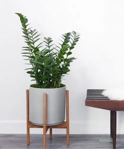 Lulu And Georgia LBE Design Ceramic Planter + Teak Stand 4 Lulu And Georgia LBE Design Ceramic Planter + Teak Stand