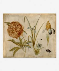 Lulu And Georgia Walls 'Flowers And Beetles' Wall Art By Hans Hoffman Gold, Original Work Held By The J. Paul Getty Museum