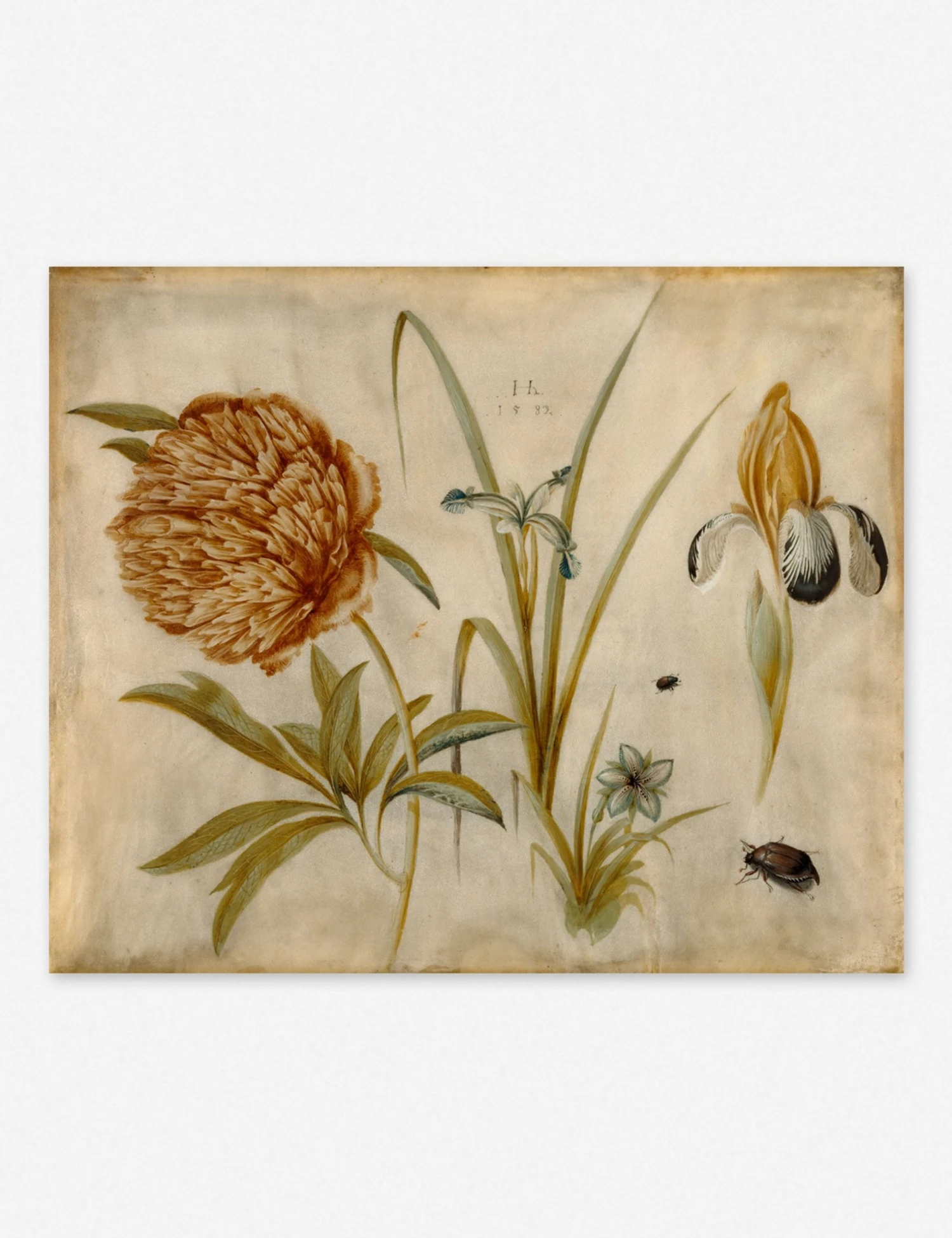 flowers_and_beetles.jpg Lulu And Georgia Walls 'Flowers And Beetles' Wall Art By Hans Hoffman Gold, Original Work Held By The J. Paul Getty Museum