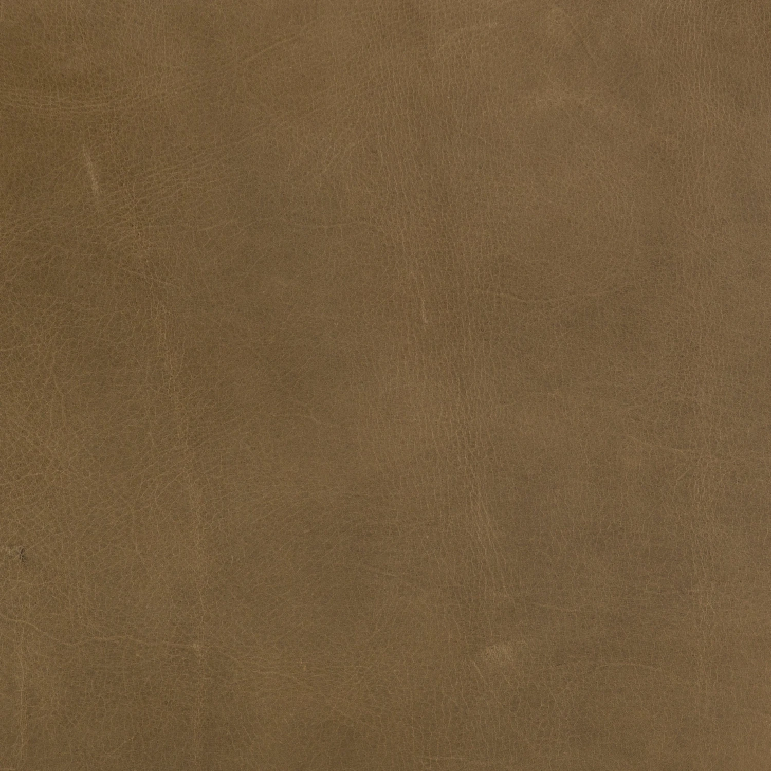 Lulu And Georgia Ilona Leather Accent Chair 14 Lulu And Georgia Ilona Leather Accent Chair