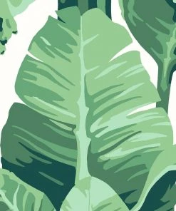 Lulu And Georgia Pacifico Palm Peel + Stick Wallpaper By Nathan Turner