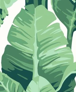 Lulu And Georgia Pacifico Palm Peel + Stick Wallpaper By Nathan Turner