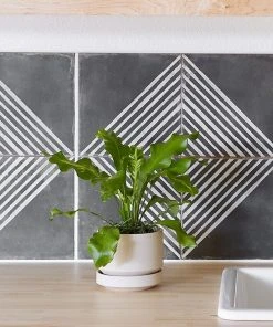 Lulu And Georgia LBE Design Ceramic Indoor / Outdoor Planter