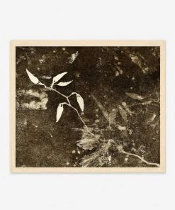 Lulu And Georgia Walls 'Spring Eternal 1' Wall Art By Kira Appelhans