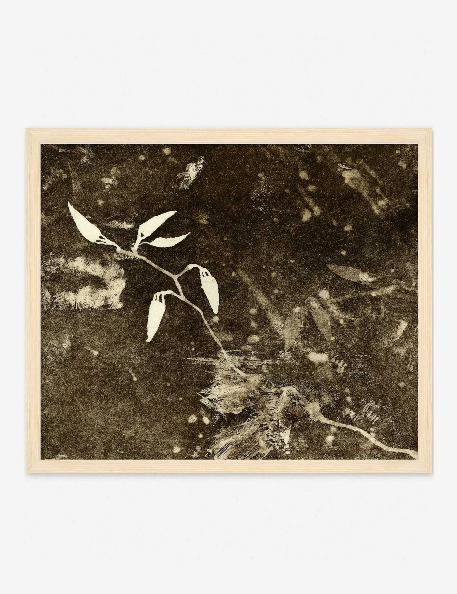 Lulu And Georgia Walls 'Spring Eternal 1' Wall Art By Kira Appelhans 3 Lulu And Georgia Walls 'Spring Eternal 1' Wall Art By Kira Appelhans