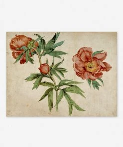 Lulu And Georgia 'Studies Of Peonies' Wall Art By Martin Schongauer, Original Work Held By The J. Paul Getty Museum 5 Lulu And Georgia 'Studies Of Peonies' Wall Art By Martin Schongauer, Original Work Held By The J. Paul Getty Museum