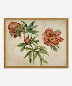 Lulu And Georgia'Studies Of Peonies' Wall Art By Martin Schongauer, Original Work Held By The J. Paul Getty Museum