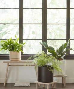 Lulu And Georgia LBE Design Ceramic Planter Décor 36 Lulu And Georgia LBE Design Ceramic Planter Décor