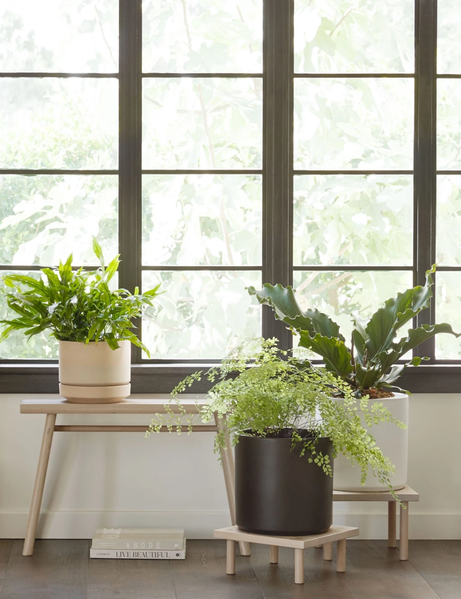 Lulu And Georgia LBE Design Ceramic Planter Décor 15 Lulu And Georgia LBE Design Ceramic Planter Décor